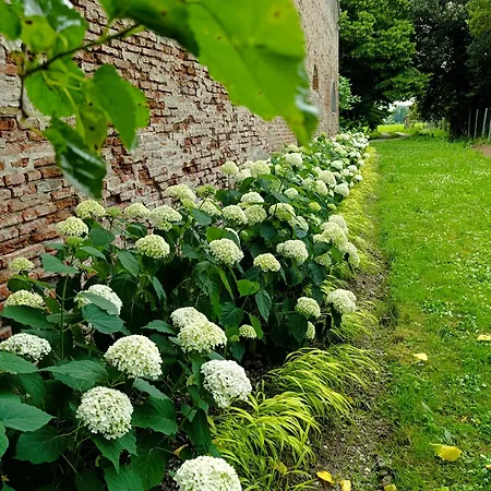 Podere Misericordia Pensionat Ferrara