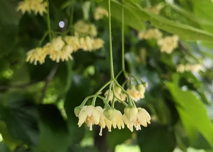 Podere Misericordia 招待所
